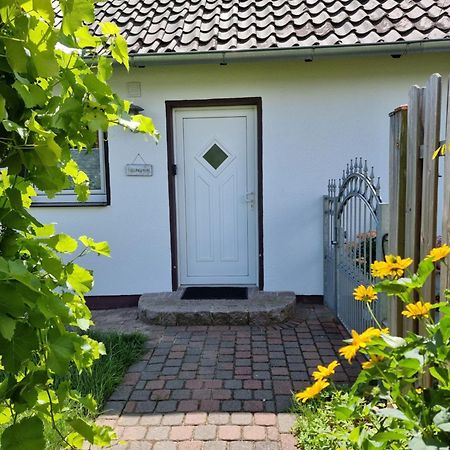 Feel-Good Apartment Close To The City Reppenstedt Екстериор снимка
